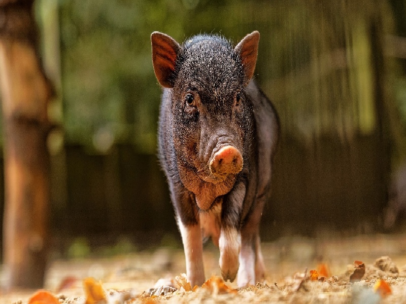 天津三代供卵例子,山东临沂做试管婴儿成功率最高的医院是哪里？如何选-天津