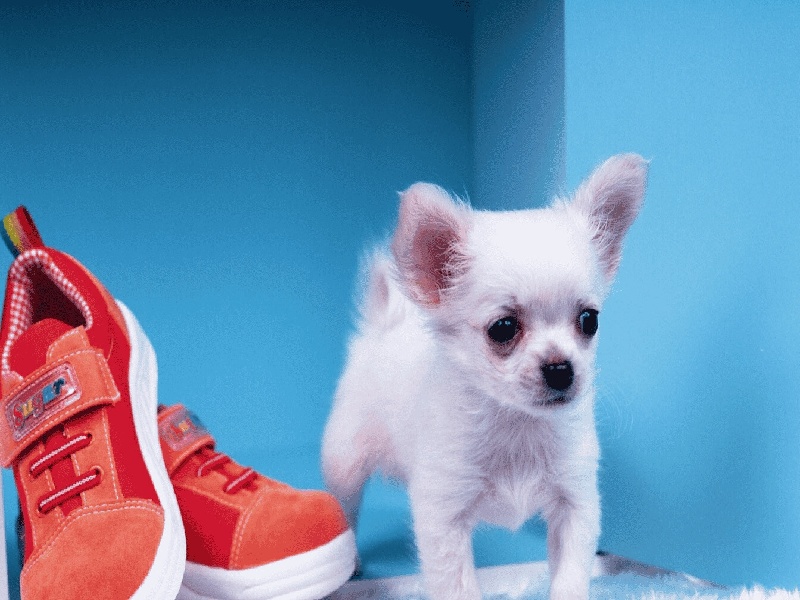 天津代怀最好医院,泰国试管价格高吗？-天津有没有供卵机构_天津供卵试管医院