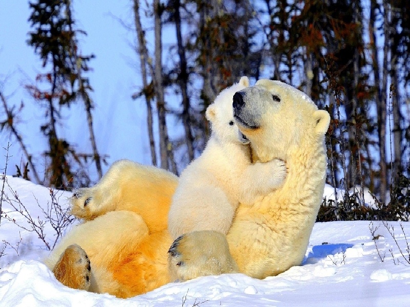 天津试管做几代好,2024年天津试管包装纸（山东试管婴儿费用）